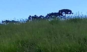 Imagem 6: Vendo chácara em condomínio fechado em Maria da Fé