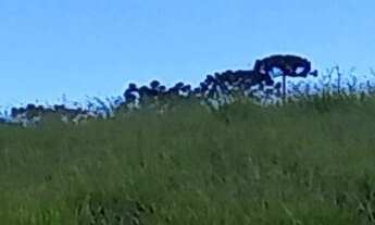 Imagem 7: Vendo chácara em condomínio fechado em Maria da Fé