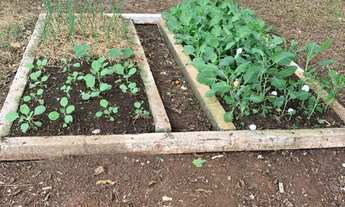 Imagem 3: CHACARA RURAL em ITAJUBÁ - MG, PIEDADE