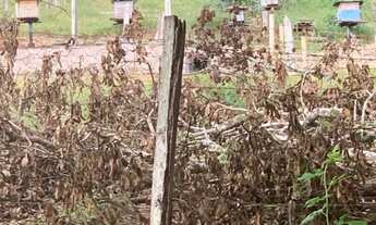 Imagem 5: CHACARA RURAL em ITAJUBÁ - MG, PIEDADE