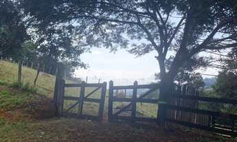 Imagem 2: Vendo sítio excelente em Piranguinho