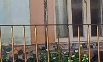 Imagem: Vendo casa com terreno amplo com edícula