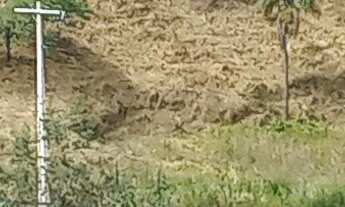 Imagem 1: Vendo uma chácara linda, com pequeno pomar e com ótima localização no bairro Retiro, muito