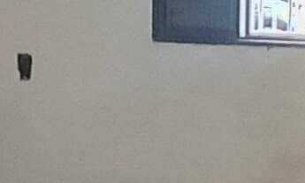 Imagem 7: Vendo ou alugo ponto comercial no centro da cidade. Localização especial próximo a APAE e