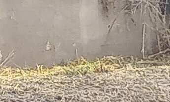 Imagem 2: Vendo um terreno excelente no Sol Nascente, bairro seguro, anexo ao BPS. O lote tem 360 m²