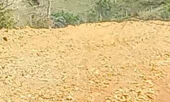 Imagem 4: Vendo uma chácara linda, com pequeno pomar e com ótima localização no bairro Retiro, muito