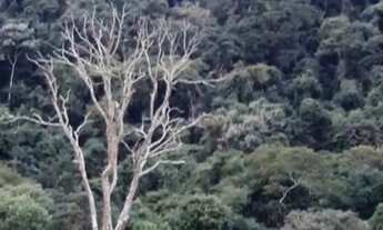 Imagem 3: Vendo imóvel incrível na serra da Mantiqueira em Baependi, sul de Minas Gerais, 48 hectare