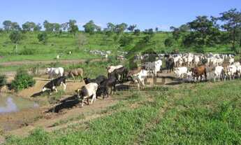 Imagem: Fazenda em Coxim - MS, Pantanal do Paiaguás
