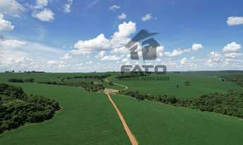 Imagem 2: Fazenda Residencial em Piracanjuba - Go, Município de Piracanjuba - Goiás