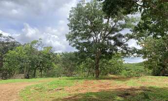 Imagem 4: FAZENDA RURAL em LAGAMAR - MG, ZONA RURAL