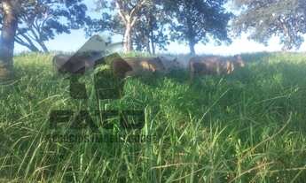 Imagem 6: FAZENDA RURAL em LAGAMAR - MG, ZONA RURAL