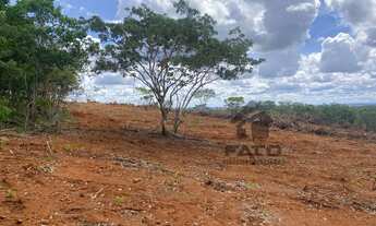 Imagem 3: FAZENDA RURAL em LAGAMAR - MG, ZONA RURAL