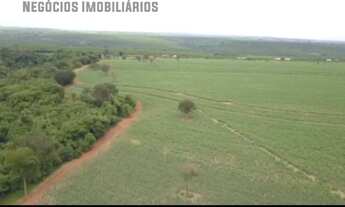 Imagem: INVESTIMENTO, CANA DE AÇUCAR, PRATA, AGRICULTURA