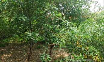 Imagem 3: Terreno à venda em São Paulo-SP, Vila São Francisco, com 827m² de área!