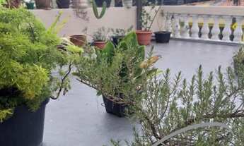 Imagem 3: CASA NA VILA SÃO FRANCISCO 2 DORMITÓRIOS