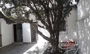 Imagem 3: OPORTUNIDADE NA VILA YARA