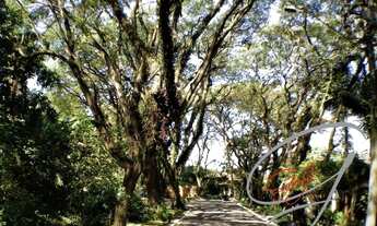 Imagem 3: TERRENO RESIDENCIAL em COTIA - SP, VILA VIANNA