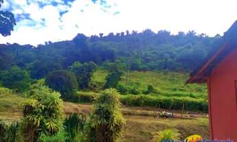 Imagem 4: Sítio com excelente área, 3 nascentes, muita água! Próximo ao centro à venda em São José d