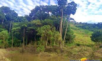 Imagem 7: Sítio com excelente área, 3 nascentes, muita água! Próximo ao centro à venda em São José d