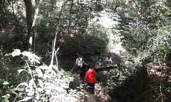 Imagem 4: Excelente sitio em Vargem