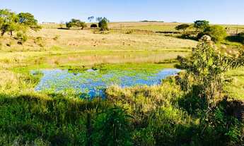 Imagem: 2 dormitórios na Rodovia Eloy De Camargo