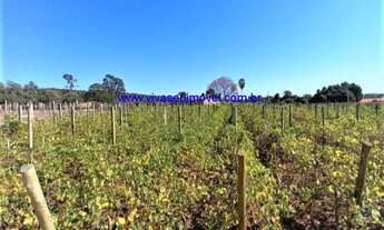 Imagem 4: SITIO RURAL em INDAIATUBA - SP, PARQUE DA GRAMA