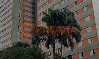 Imagem: Apartamento à venda na região da Freguesia