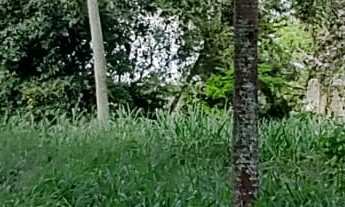 Imagem: Excelente terreno à venda na região do