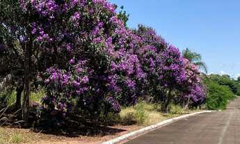 Imagem 7: Terreno a Venda Parque das Macadamias