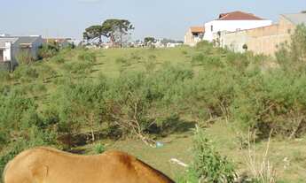 Imagem 6: TERRENO RESIDENCIAL em São José dos Pinhais - PR, Colônia Rio Grande