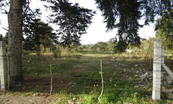 Imagem: TERRENO INDUSTRIAL em São José dos Pinhais