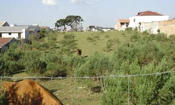 Imagem 5: TERRENO RESIDENCIAL em São José dos Pinhais - PR, Colônia Rio Grande