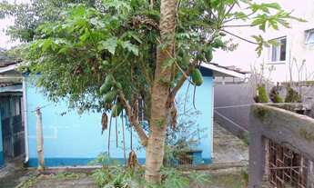 Imagem 4: TERRENO RESIDENCIAL em Curitiba - PR, Santa Quitéria