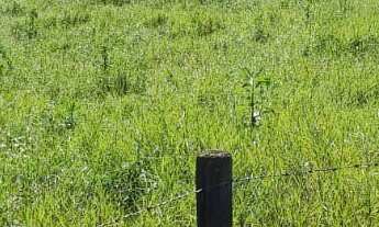 Imagem 2: FAZENDA RURAL em Tijucas do Sul - PR, Potinga