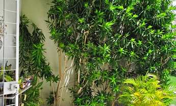 Imagem 2: CASA RESIDENCIAL em RECIFE - PE, POÇO