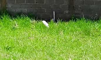 Imagem 2: TERRENO RESIDENCIAL em BRAGANÇA PAULISTA - SP, CONDOMÍNIO PORTAL DA SERRA