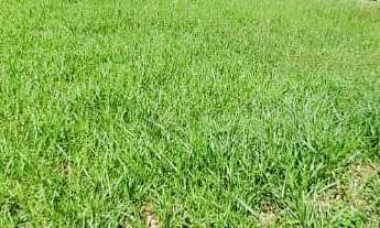 Imagem 4: TERRENO RESIDENCIAL em BRAGANÇA PAULISTA - SP, CAMPOS DO CONDE