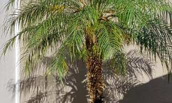 Imagem 6: CASA RESIDENCIAL em BRAGANÇA PAULISTA - SP, JARDIM SANTA PAULINA