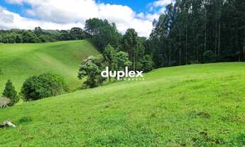 Imagem 7: TERRENO COM 3 HECTARES COM LAGO EM FRENTE AO BR 282 EM RANCHO QUEIMADO