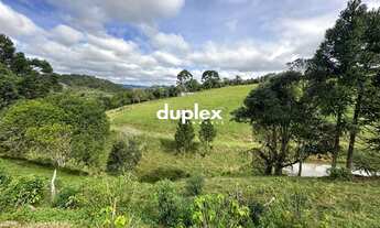 Imagem 6: TERRENO COM 3 HECTARES COM LAGO EM FRENTE AO BR 282 EM RANCHO QUEIMADO