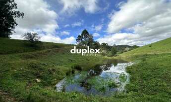 Imagem 2: TERRENO COM 3 HECTARES COM LAGO EM FRENTE AO BR 282 EM RANCHO QUEIMADO