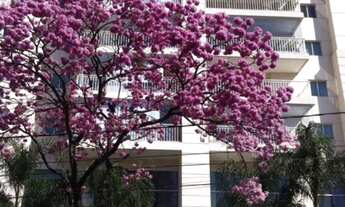 Imagem: Imperdível oportunidade Apartamento à