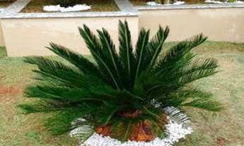 Imagem 3: VILLAGE RESIDENCIAL À VENDA, VILA BARBOSA, SÃO PAULO