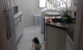 Imagem 4: APARTAMENTO COM 3 DORMITÓRIOS À VENDA, 94 M² POR R$ 374.000 - MANDAQUI - SÃO PAULO/SP