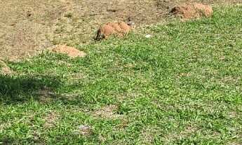 Imagem: Terreno à venda em Itatiba, no Condomínio