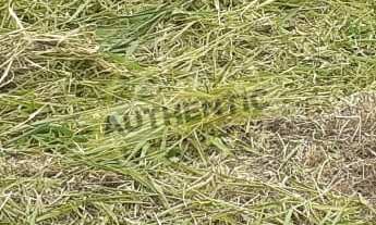 Imagem: TERRENO RESIDENCIAL em SALTO - SP, RESIDENCIAL