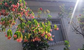 Imagem 3: Casa com Edícula para Família e Investidores