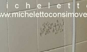 Imagem 3: 3 dormitórios na Rua Professor Ferreira Paulino