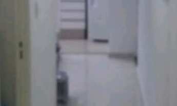 Imagem 5: Apartamento com 2 dormitórios à venda, 50 m² - Belenzinho - São Paulo/SP