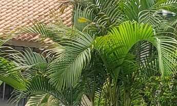 Imagem 6: Chácara em condomínio no Parque da Fazenda com 3 dorm e 330m, Parque da Fazenda - Itatiba